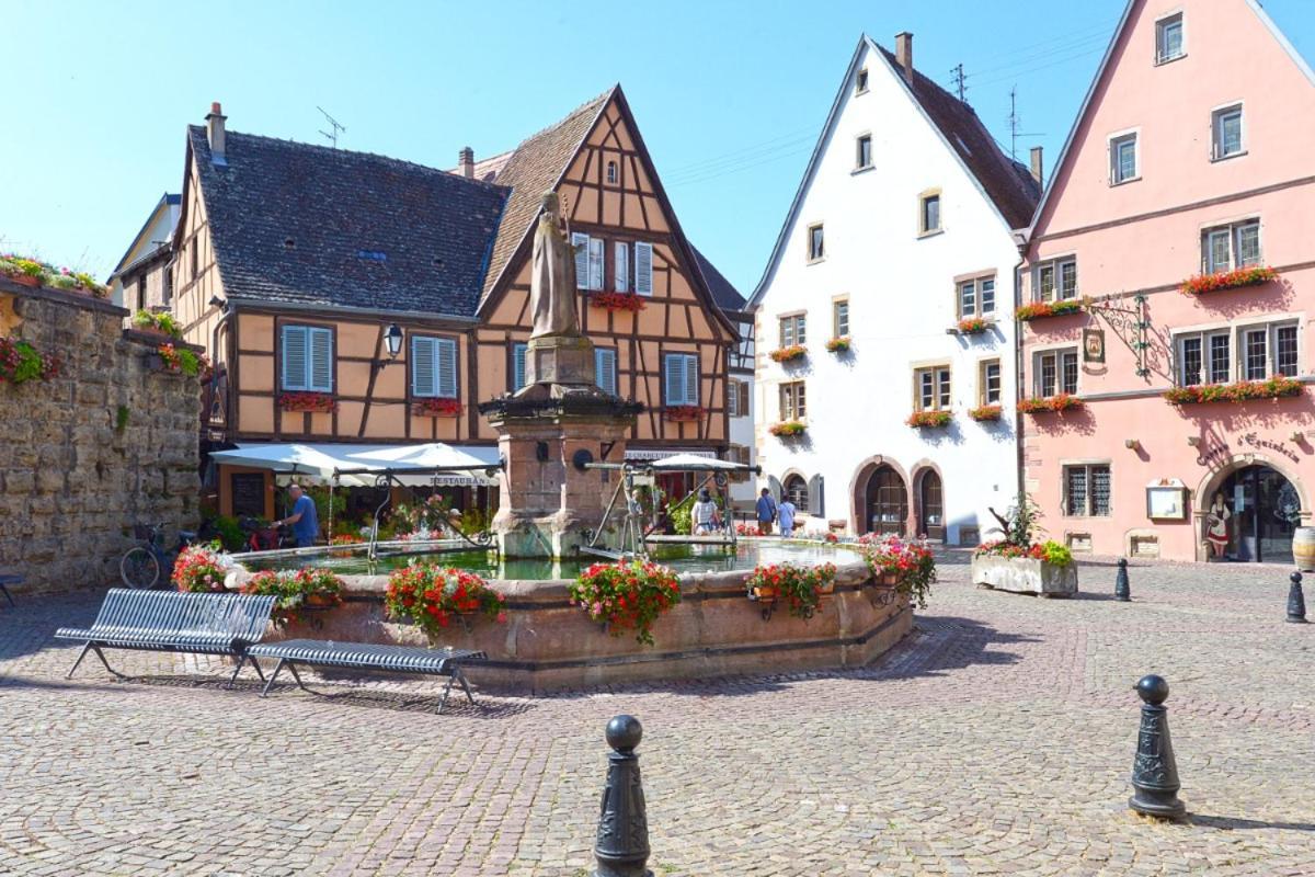 Gite Bredala Situe Dans Les Remparts Eguisheim Kültér fotó